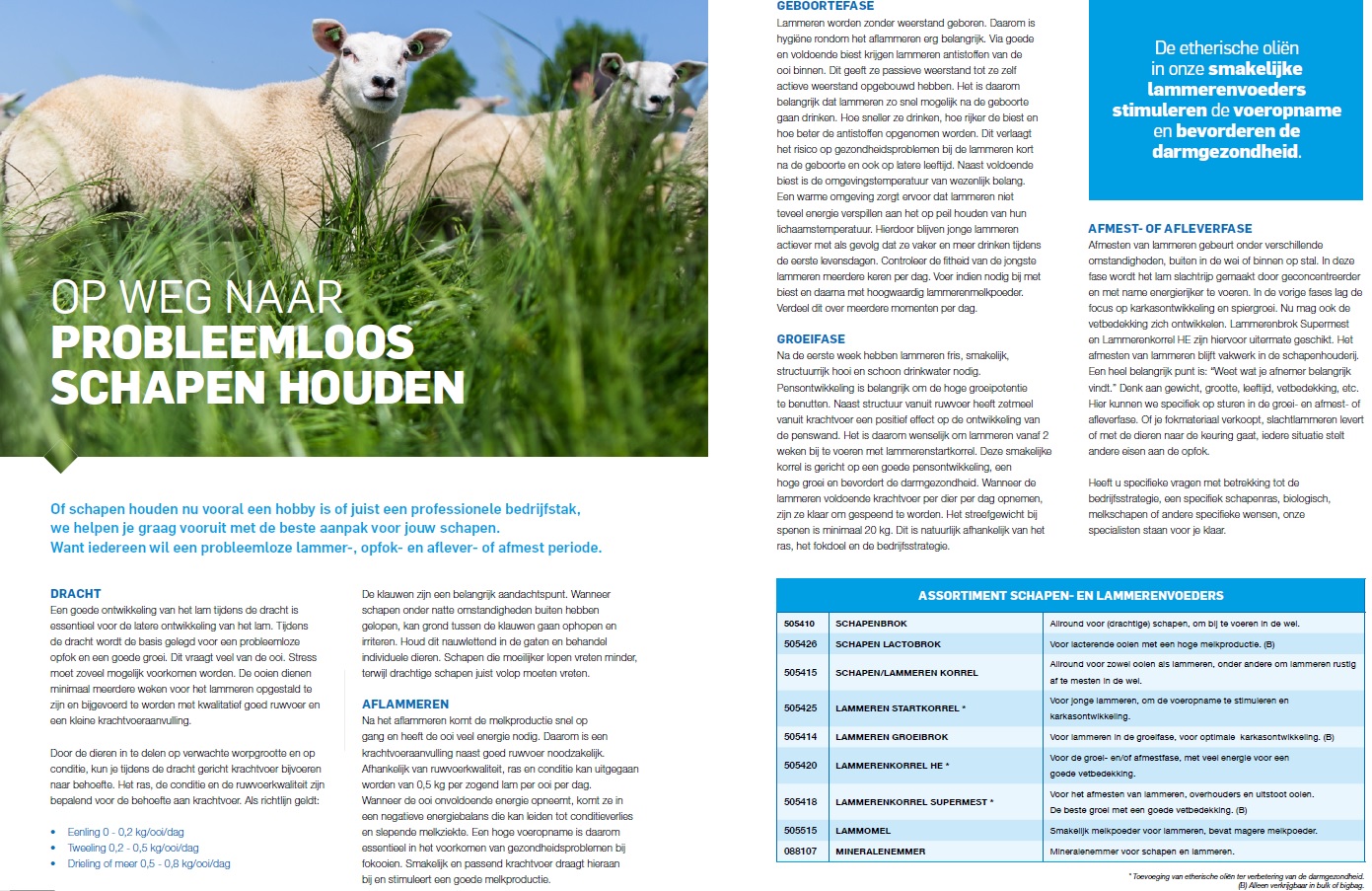 schapen brochure